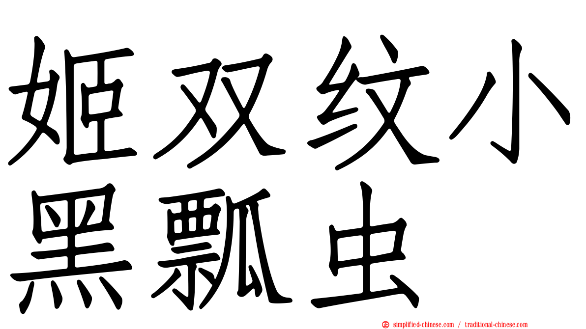 姬双纹小黑瓢虫