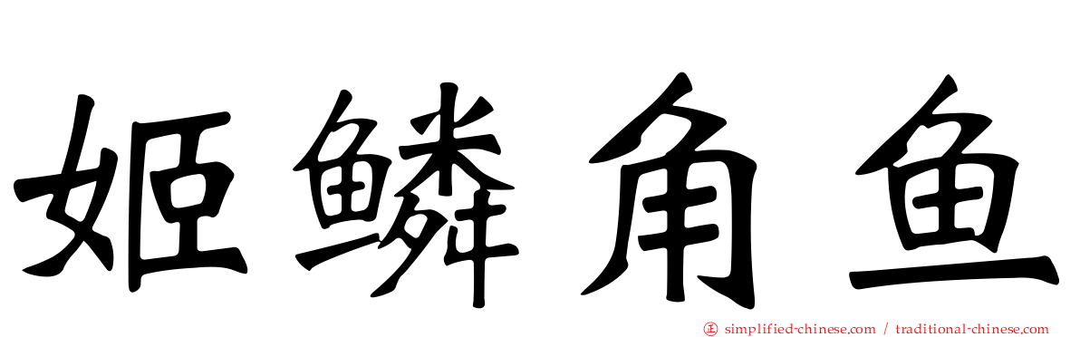 姬鳞角鱼