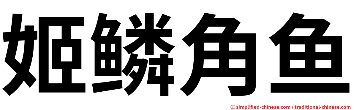 姬鳞角鱼