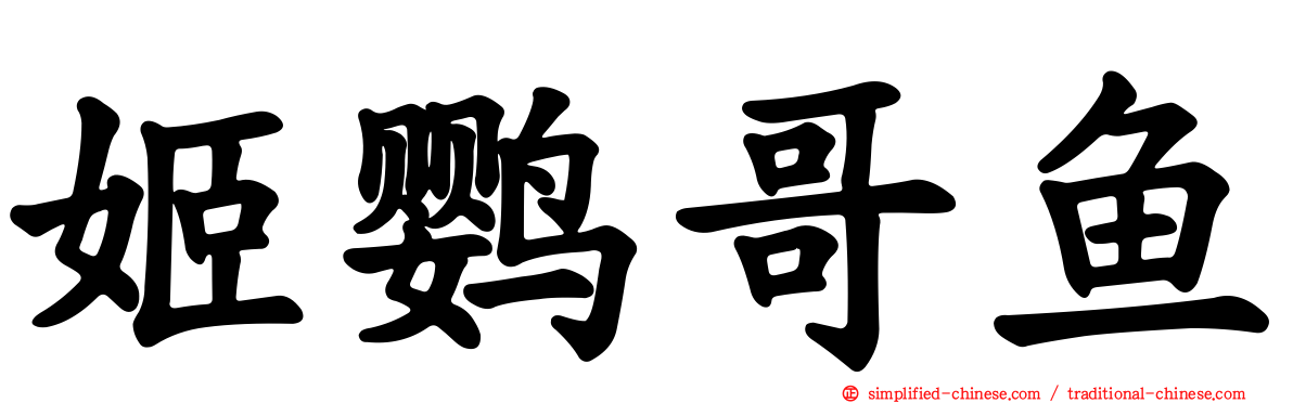 姬鹦哥鱼