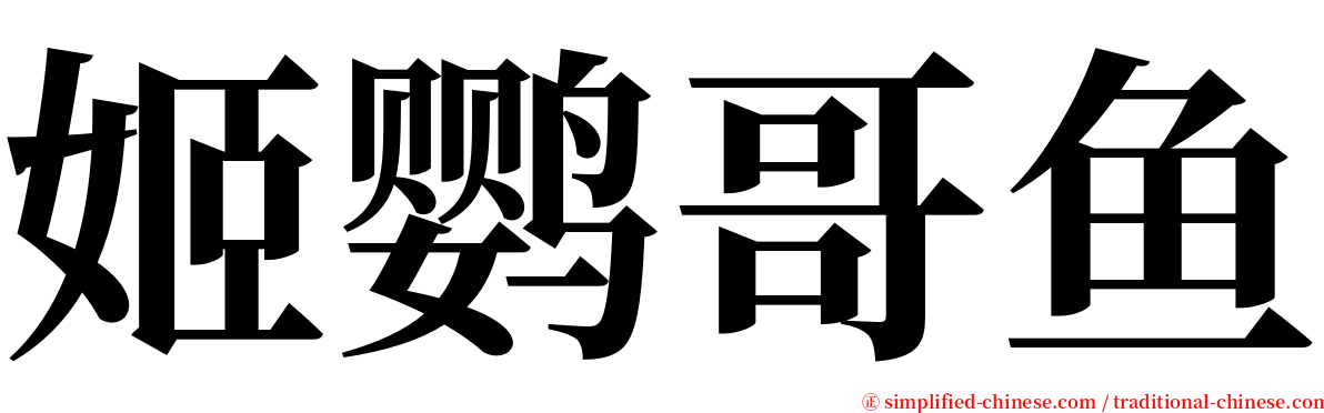 姬鹦哥鱼 serif font