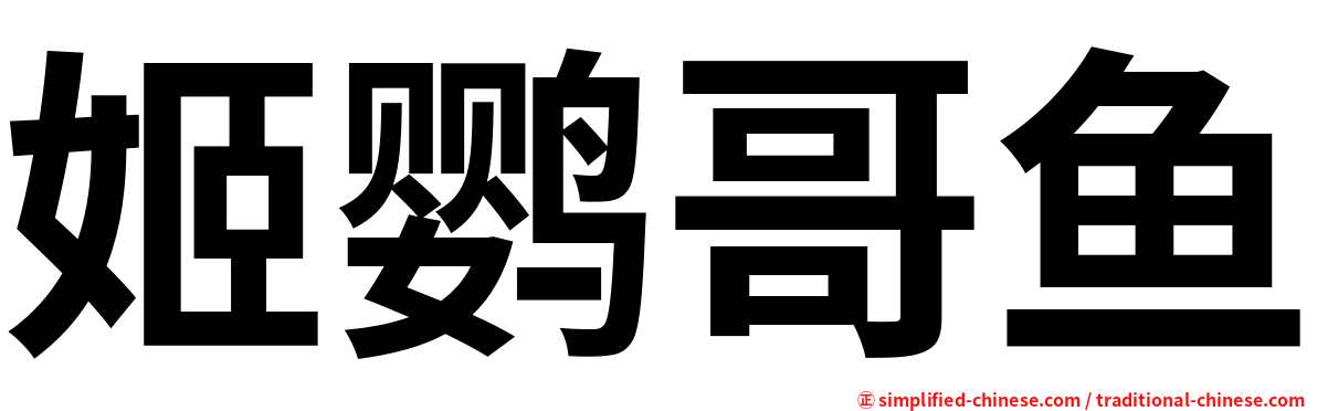 姬鹦哥鱼