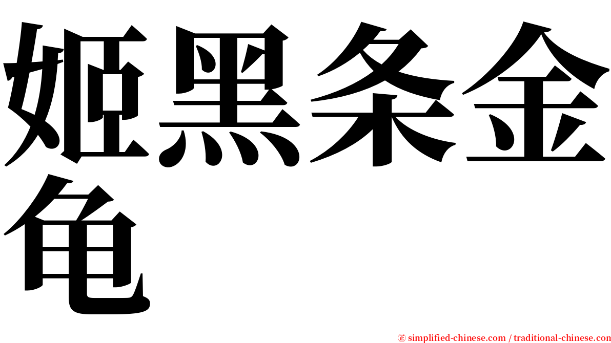姬黑条金龟 serif font