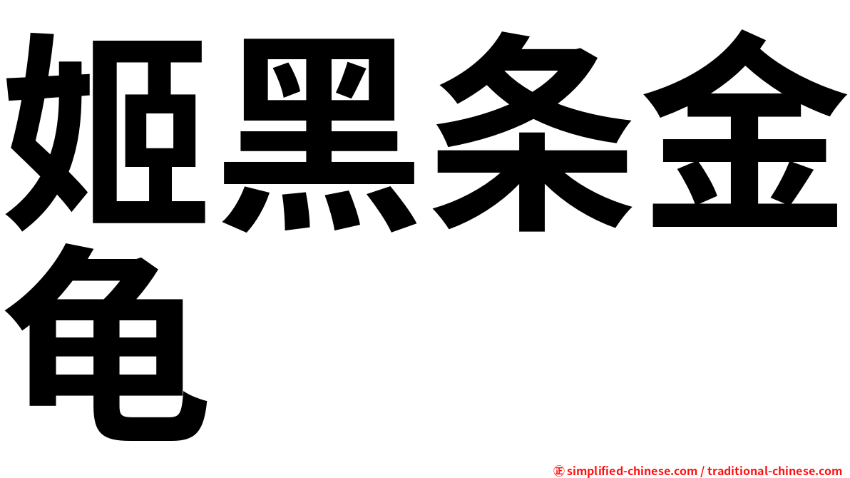 姬黑条金龟