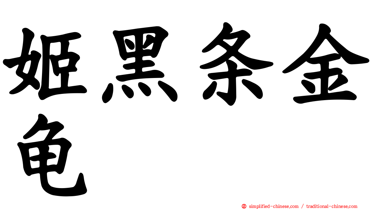 姬黑条金龟