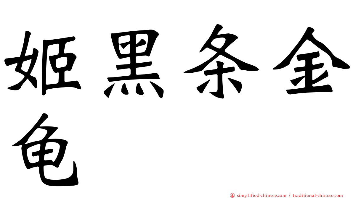 姬黑条金龟