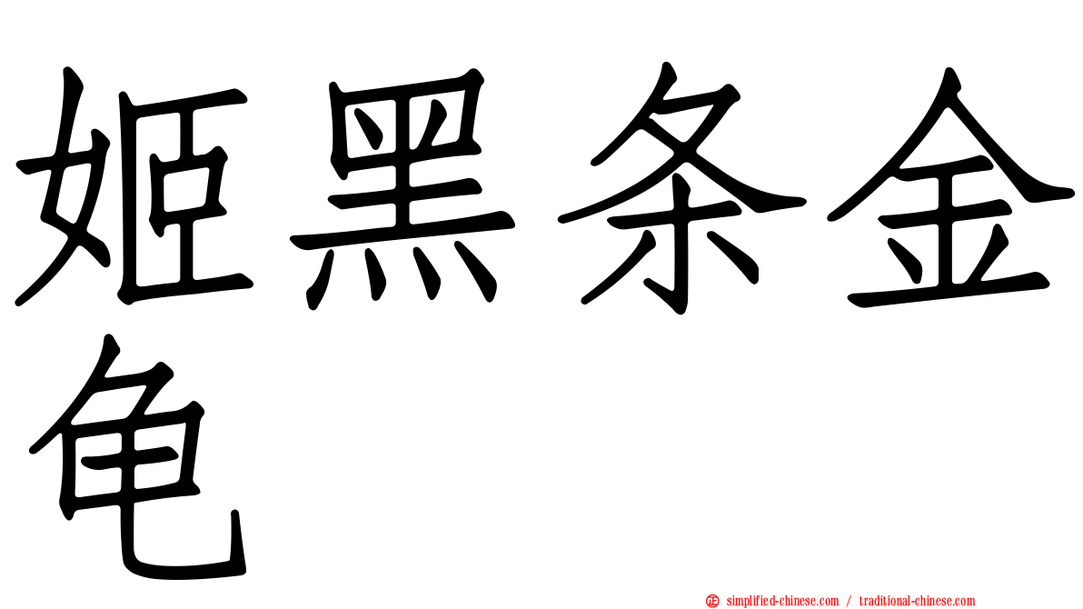 姬黑条金龟