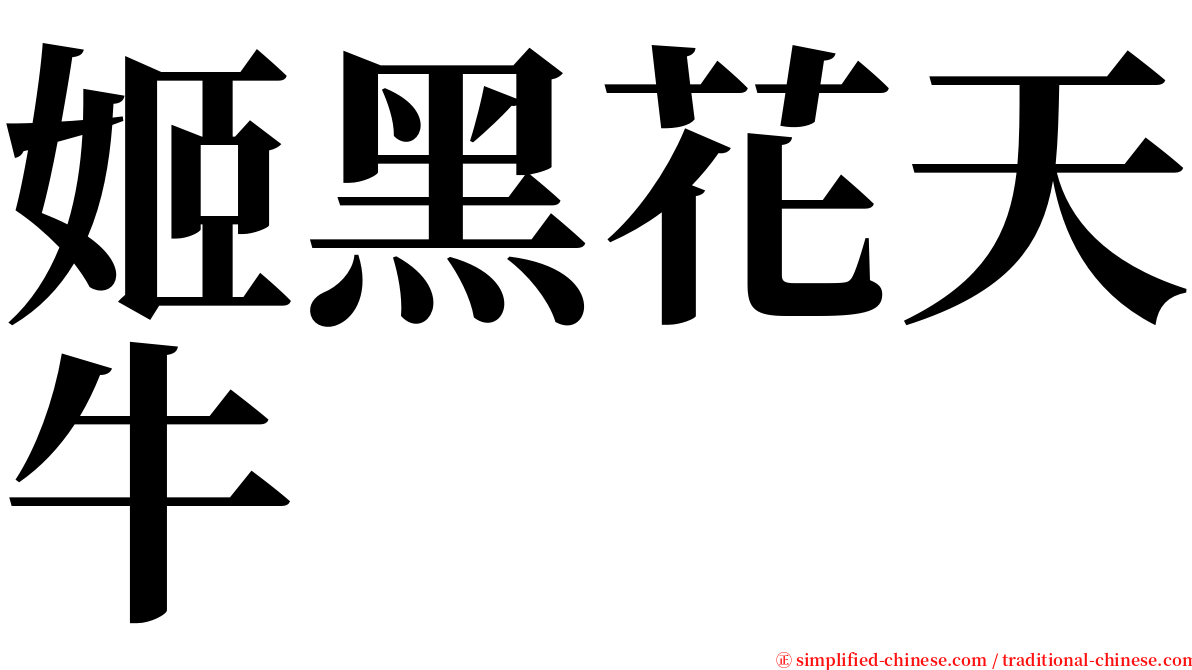 姬黑花天牛 serif font