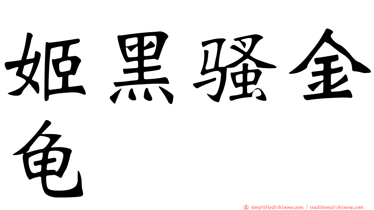 姬黑骚金龟