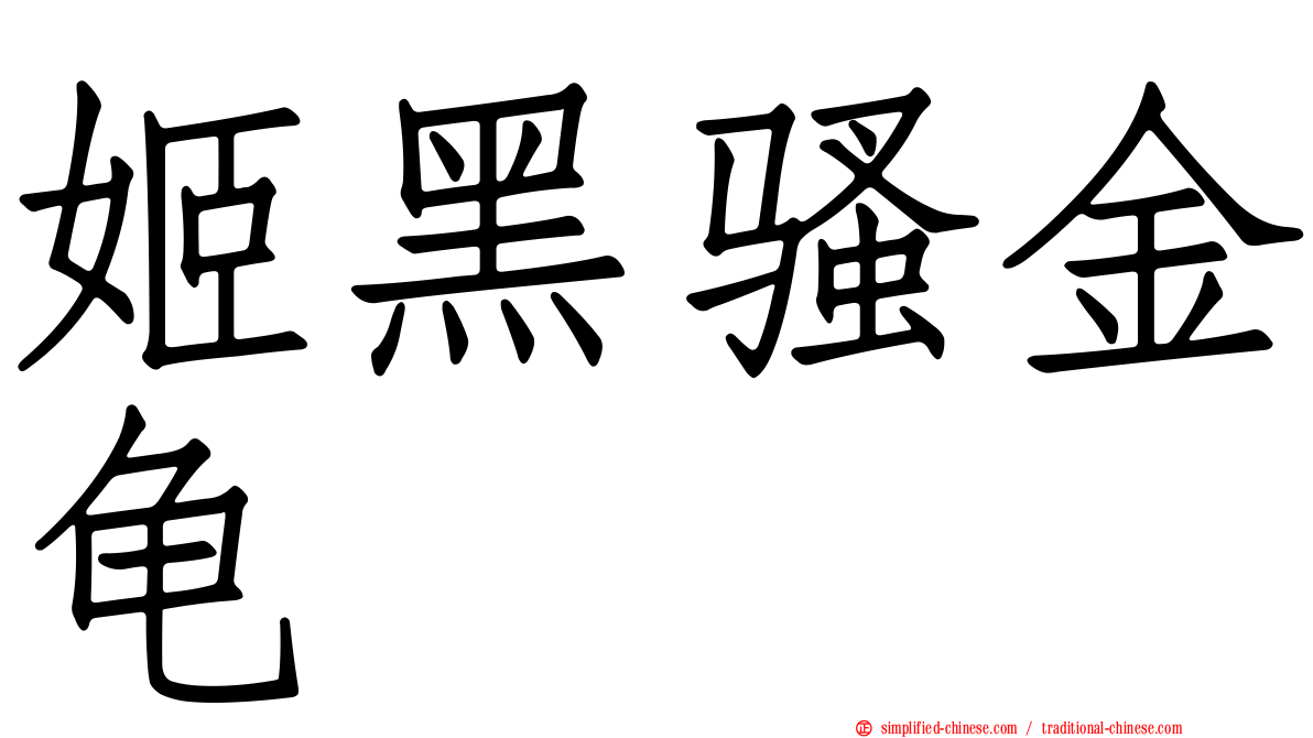 姬黑骚金龟