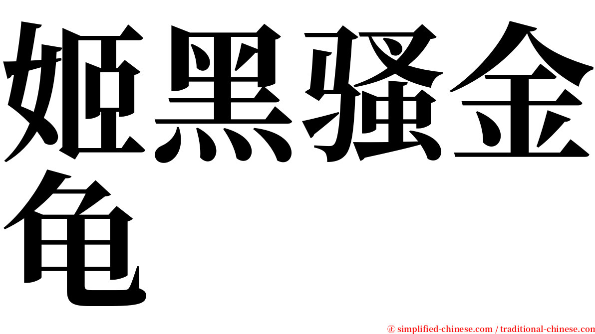 姬黑骚金龟 serif font