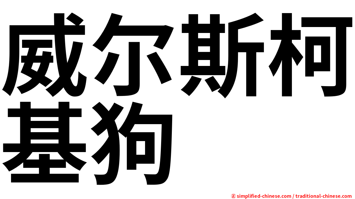 威尔斯柯基狗