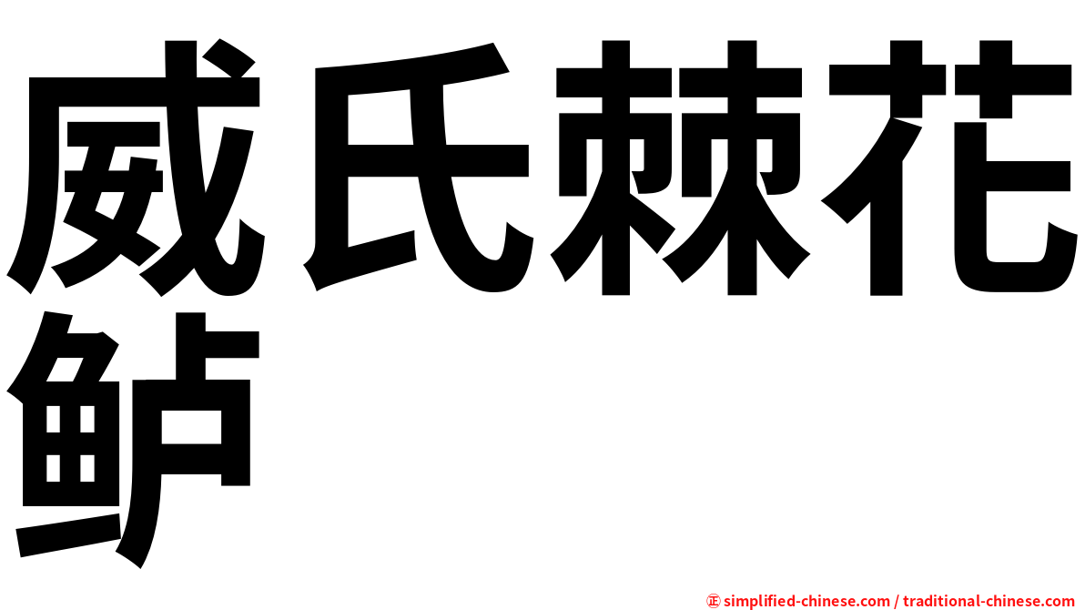 威氏棘花鲈