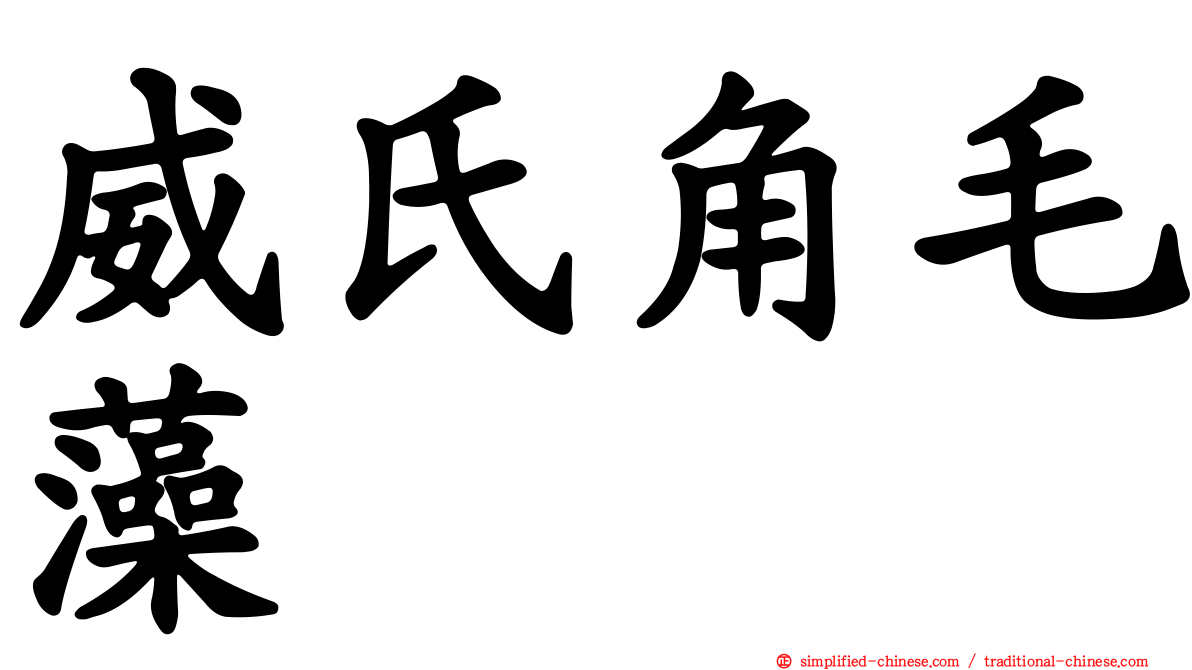 威氏角毛藻