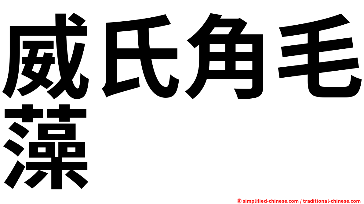 威氏角毛藻