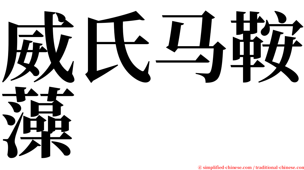 威氏马鞍藻 serif font