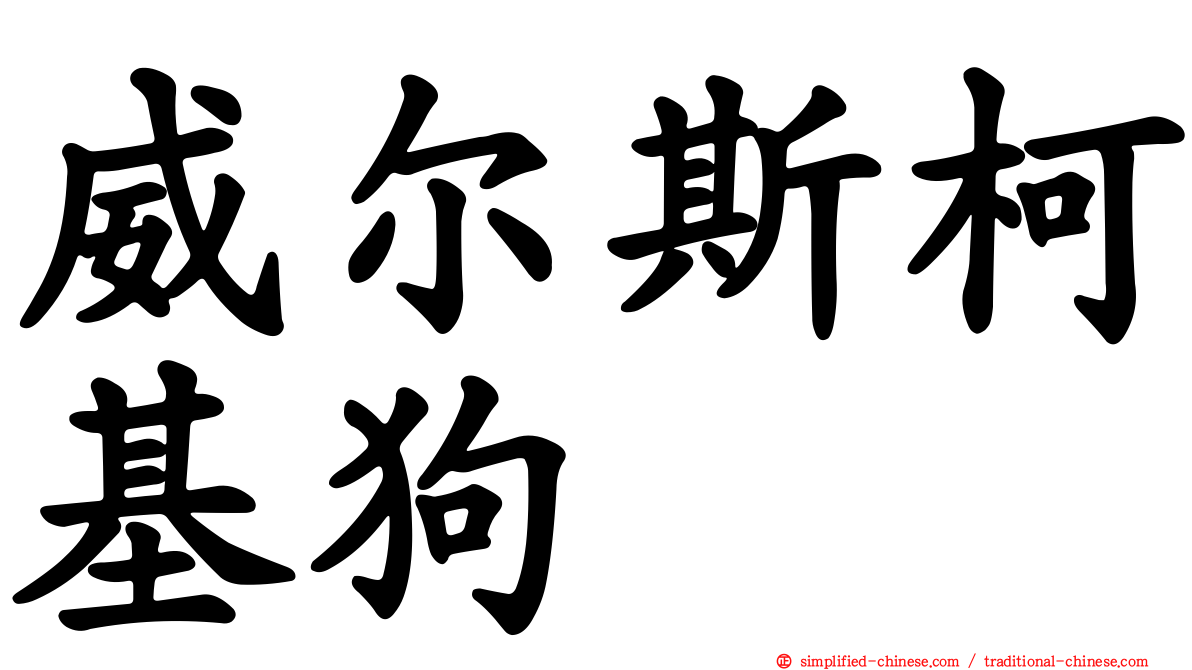 威尔斯柯基狗