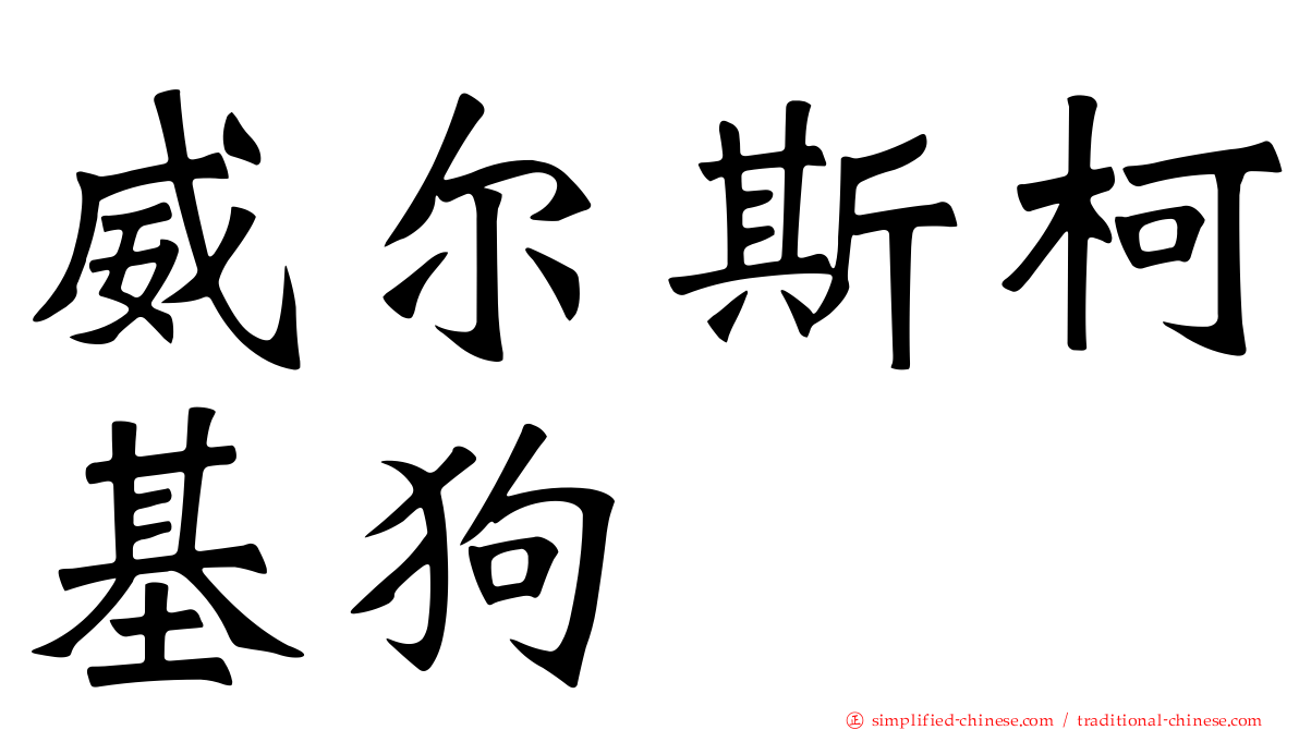 威尔斯柯基狗