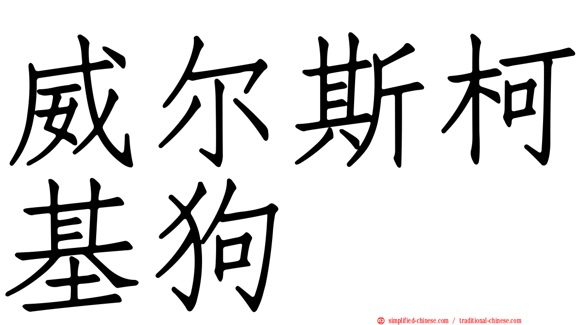 威尔斯柯基狗