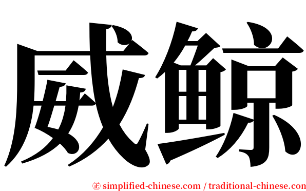 威鲸 serif font
