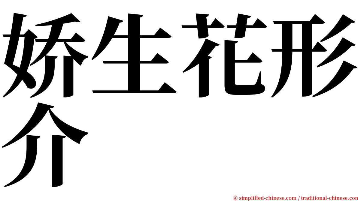 娇生花形介 serif font