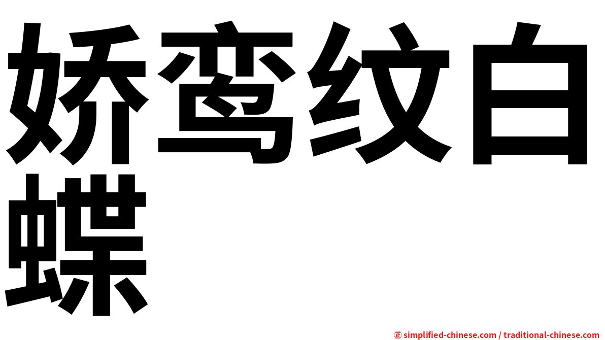 娇鸾纹白蝶