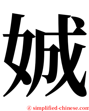 娍 serif font
