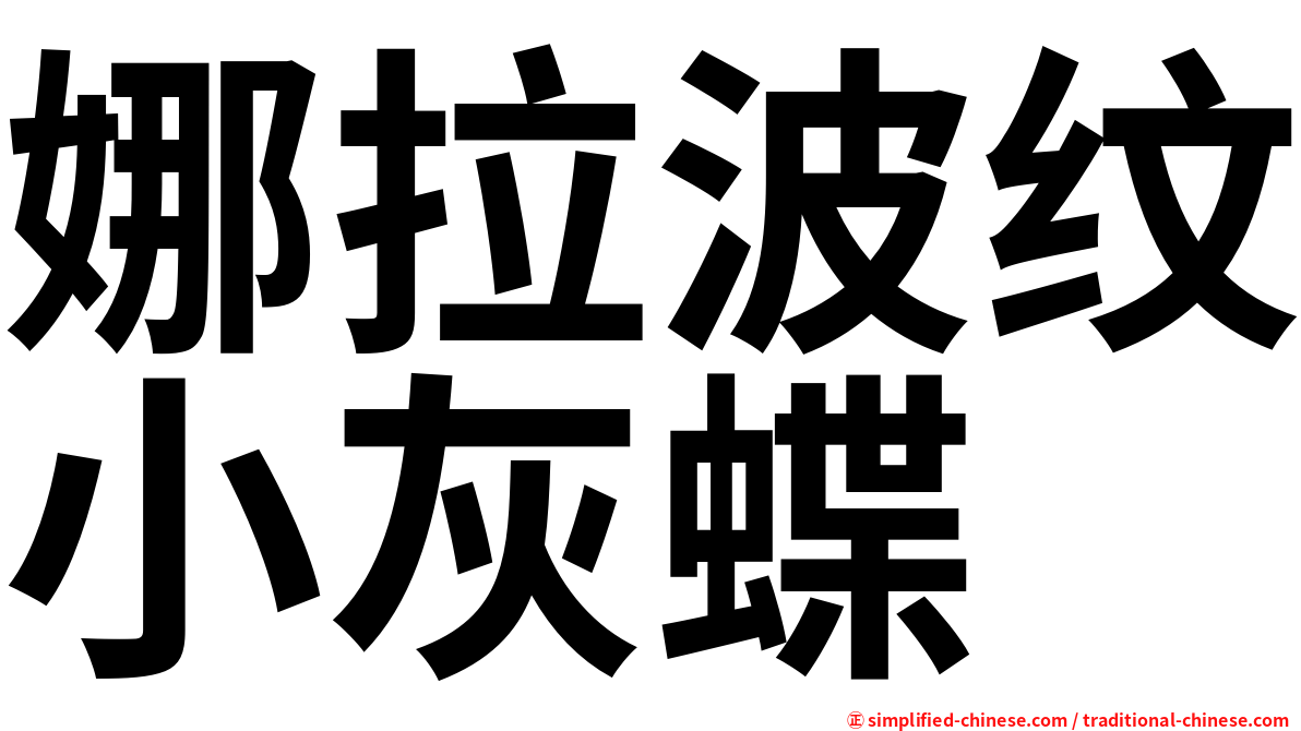 娜拉波纹小灰蝶