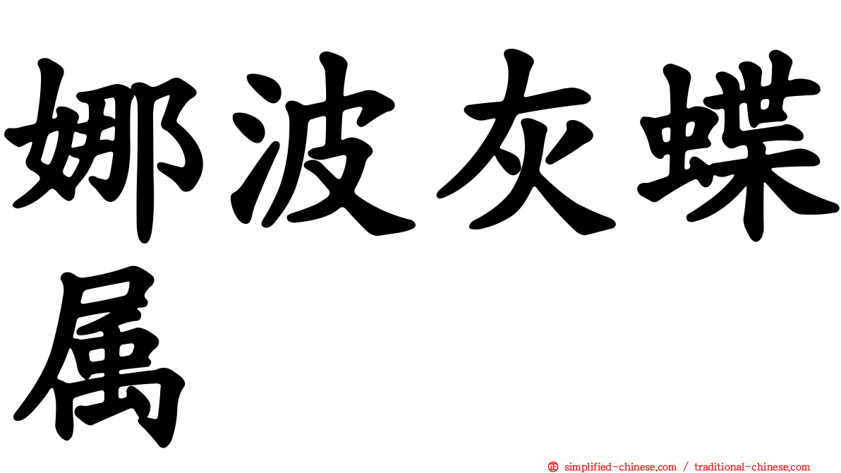 娜波灰蝶属