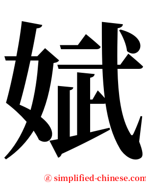 娬 serif font