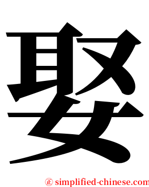 娶 serif font