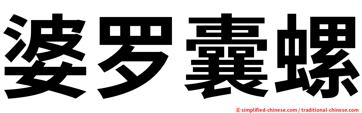 婆罗囊螺