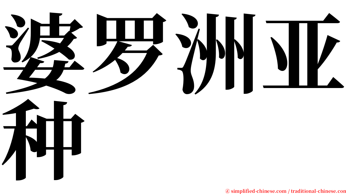 婆罗洲亚种 serif font