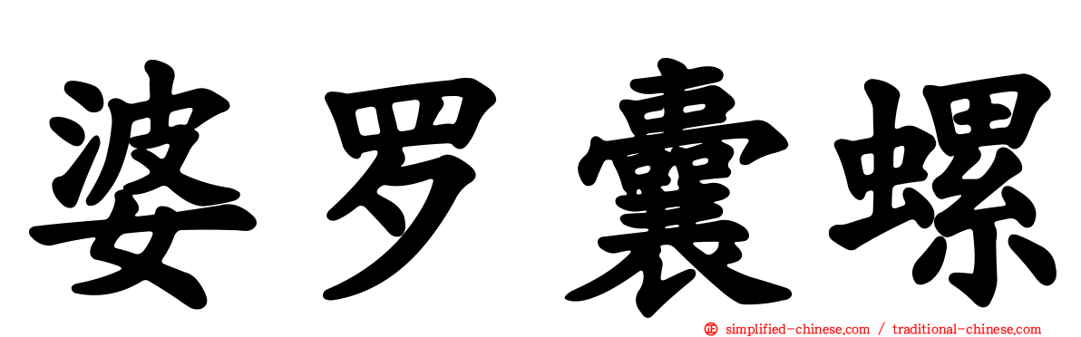 婆罗囊螺