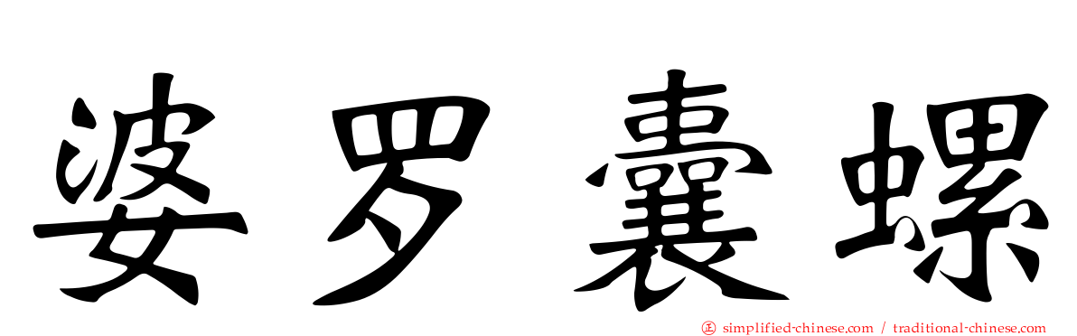 婆罗囊螺