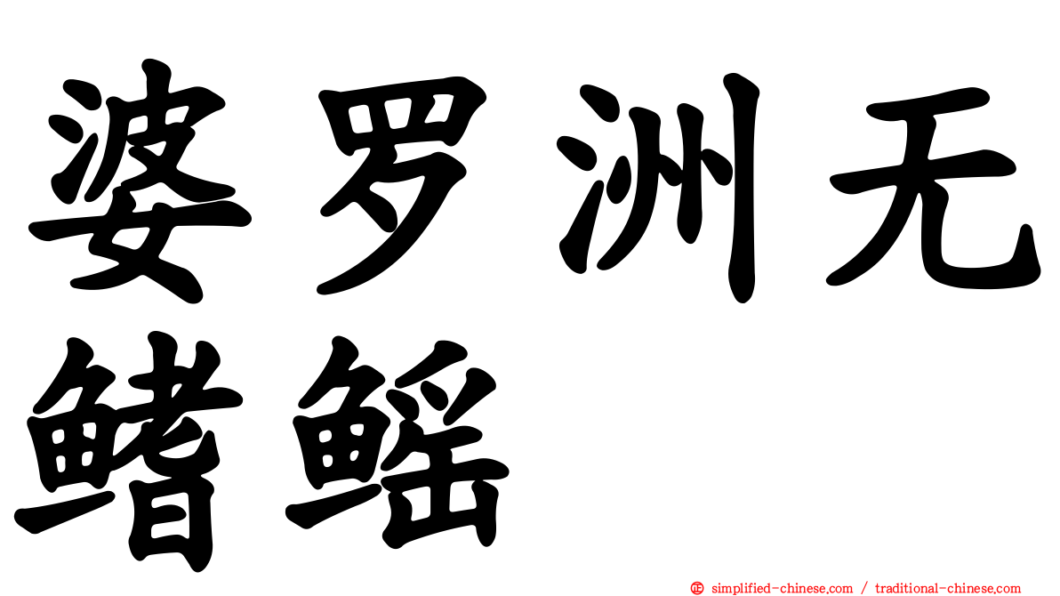 婆罗洲无鳍鳐
