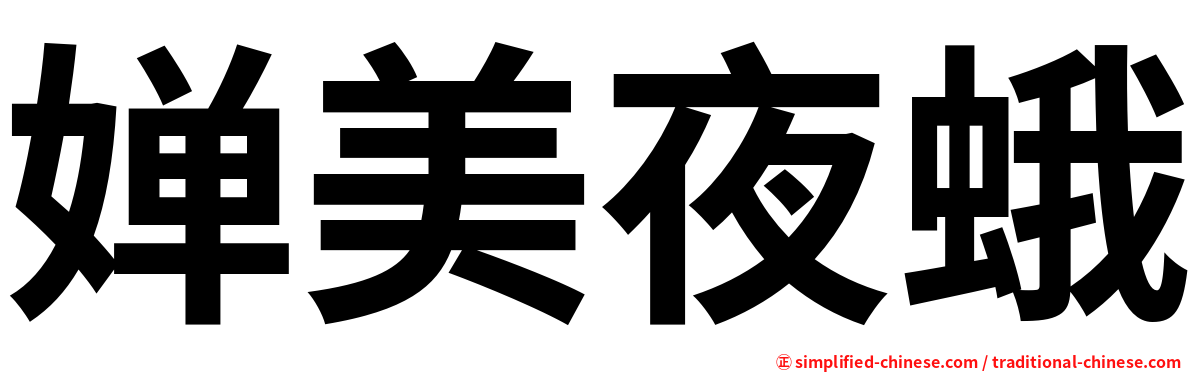 婵美夜蛾