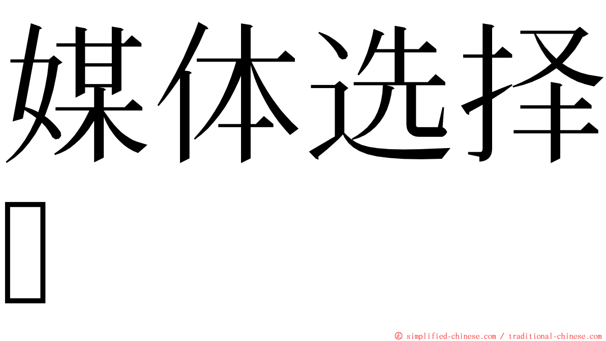 媒体选择 ming font