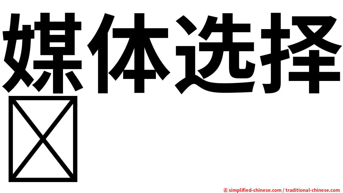 媒体选择
