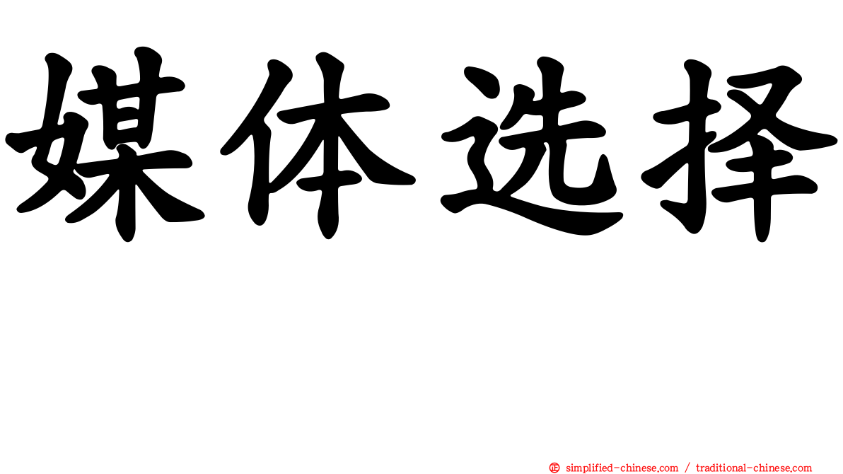 媒体选择