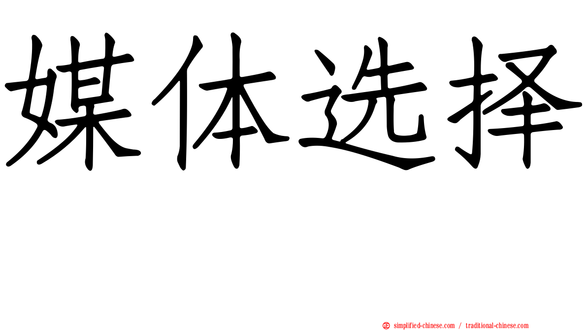 媒体选择