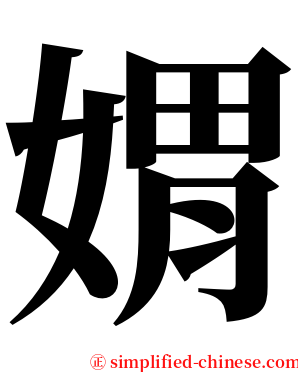 媦 serif font