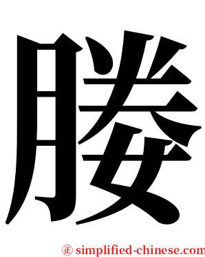 媵 serif font