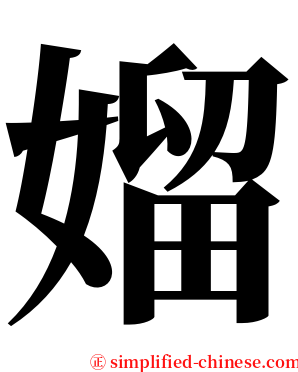 媹 serif font
