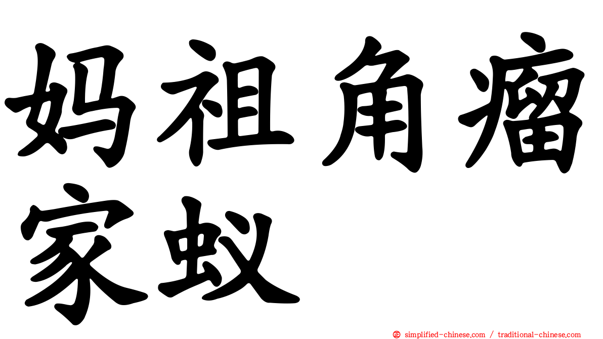 妈祖角瘤家蚁
