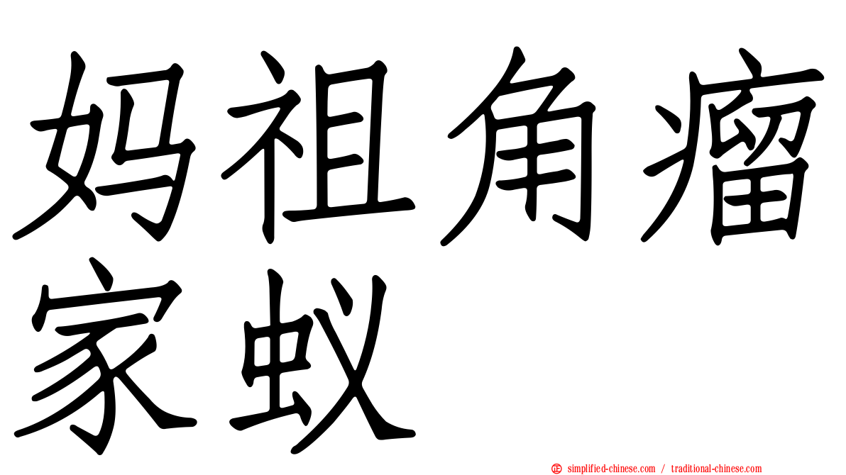 妈祖角瘤家蚁