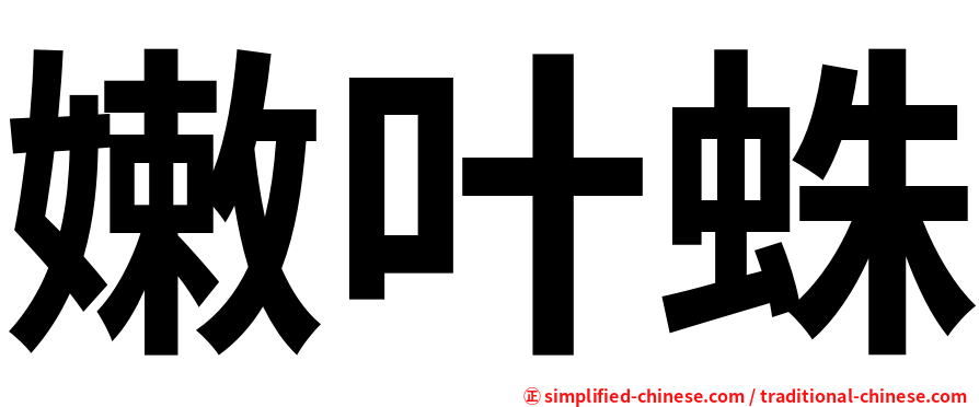 嫩叶蛛