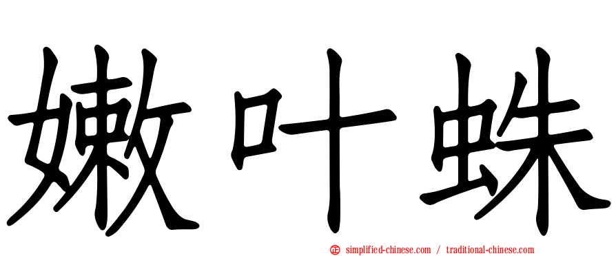 嫩叶蛛