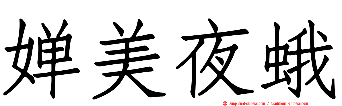 婵美夜蛾