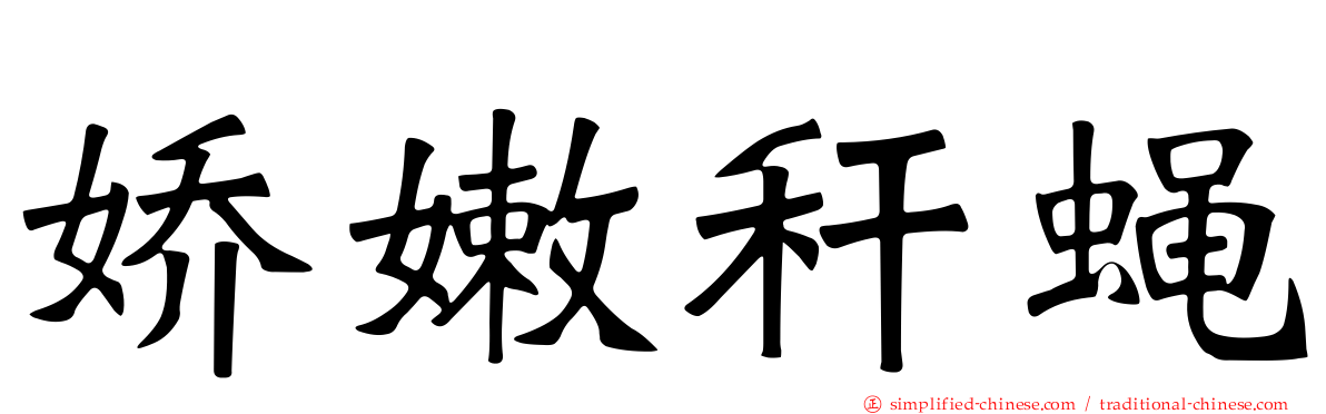 娇嫩秆蝇
